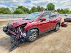 2024 Subaru Forester Premium Темно-бордовый vin: JF2SKADC0RH511706