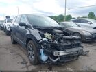 2019 Honda Cr-v Ex Gray vin: JHLRW2H5XKX000831