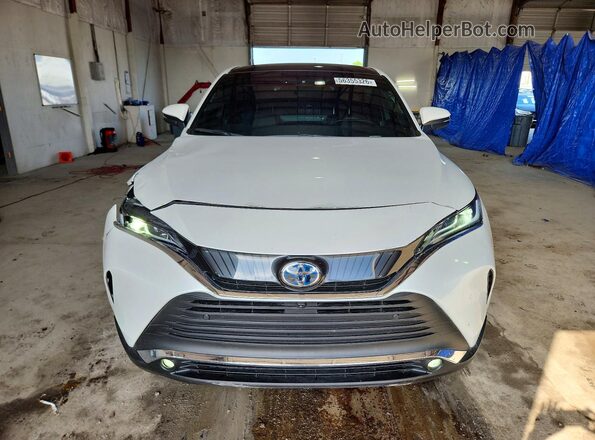 2024 TOYOTA VENZA LIMITED