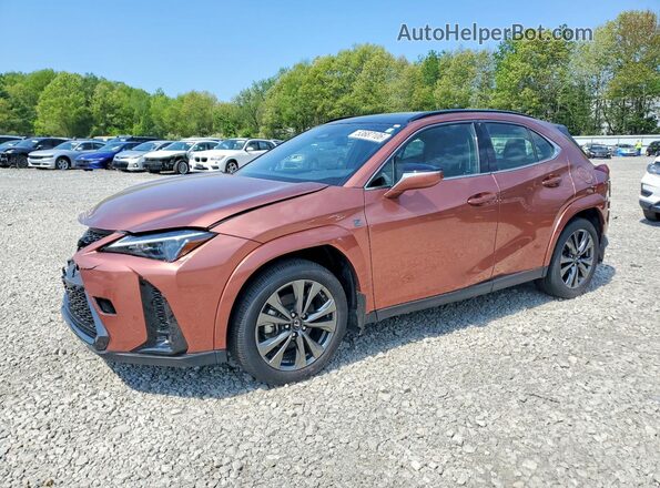 2025 LEXUS UX 300H F SPORT DESIGN