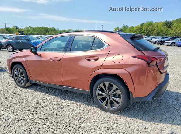 2025 LEXUS UX 300H F SPORT DESIGN