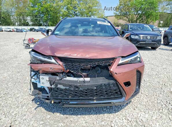 2025 LEXUS UX 300H F SPORT DESIGN