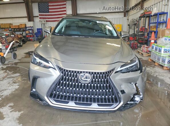 JTJAKCEZ7S2066556 2025 LEXUS NX Silver Widok z przodu