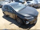 2025 Lexus Nx 350h Premium Black vin: JTJGKCEZ8S5031615