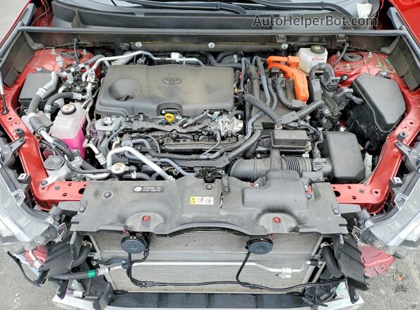 JTMFB3FV6PD159679 2023 TOYOTA RAV4 Красный Вид задней части салона