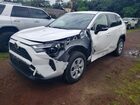 2024 Toyota Rav4 Le Белый vin: JTMK1RFV2RD125374