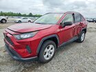 2019 Toyota Rav4 Le Red vin: JTMLWRFVXKD025874