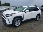 2019 Toyota Rav4 Le Белый vin: JTMMWRFV2KD023945