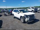 2019 Toyota Rav4 Xle White vin: JTMP1RFV0KD516518
