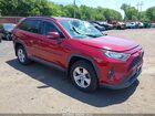 2019 Toyota Rav4 Xle Red vin: JTMP1RFV8KD014498