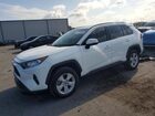 2019 Toyota Rav4 Xle White vin: JTMW1RFV4KJ014687