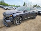 2023 Hyundai Tucson Luxury Gray vin: KM8JCCA12PU132471