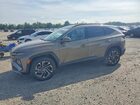 2025 Hyundai Tucson Limited Золотой vin: KM8JEDD16SU385877