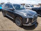 2024 Hyundai Palisade Calligraphy Blue vin: KM8R7DGE2RU707081