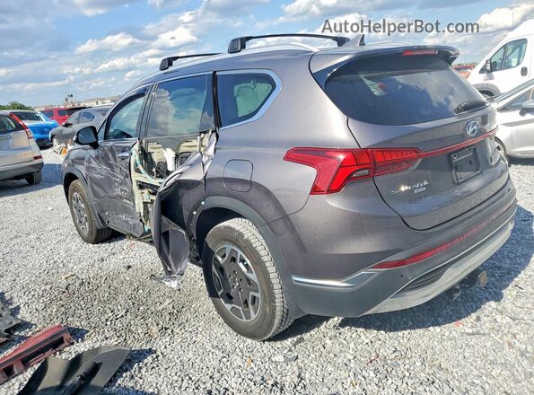 KM8S2DA12MU006166 2021 HYUNDAI SANTA Gray Задня ліва чверть