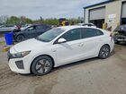 2019 Hyundai Ioniq Blue White vin: KMHC65LC5KU118678