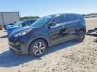 2022 Kia Sportage Lx Black vin: KNDPM3AC1N7028174