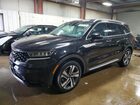 2023 Kia Sorento Ex Black vin: KNDRHDLG7P5206784