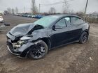 2023 Tesla Model Y Black vin: LRWYGDFD4PC939125