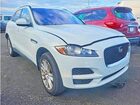 2019 Jaguar F-pace Prestige White vin: SADCK2GX2KA601028