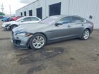 2017 Jaguar Xf Premium Gray vin: SAJBD4BV7HCY33335