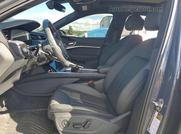 WA1CAAGE6RB035171 2024 AUDI Q8 Gray წინა სალონის ხედი