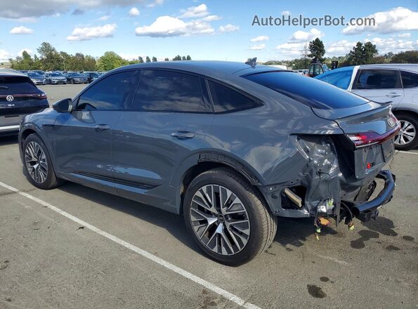 WA1CAAGE6RB035171 2024 AUDI Q8 Gray უკანა მარცხენა