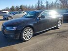 2019 Audi A4 Black vin: WAUBFAFL6EN033994