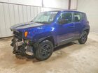 2020 Jeep Renegade Sport Blue vin: ZACNJBAB8LPL75824