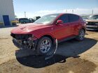 2024 Dodge Hornet R Red vin: ZACPDFDWXR3A10800