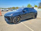 2019 Lamborghini Urus Black vin: ZPBUA1ZL8KLA01862