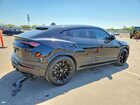 2019 Lamborghini Urus Black vin: ZPBUA1ZL8KLA01862