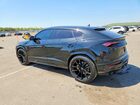 2019 Lamborghini Urus Black vin: ZPBUA1ZL8KLA01862