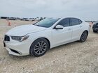 2019 Acura Tlx White vin: 19UUB1F33KA010751