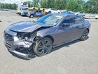 2023 Acura Tlx Tech A Charcoal vin: 19UUB5F59PA005375