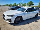 2025 Acura Tlx A-spec White vin: 19UUB6F54SA003550