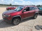 2019 Jeep Cherokee Trailhawk Burgundy vin: 1C4PJMBX0KD188611