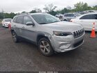 1C4PJMDX9KD393597