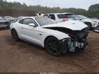 2019 Ford Mustang Gt Белый vin: 1FA6P8CF3K5122075