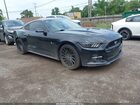 2017 Ford Mustang Gt Black vin: 1FA6P8CF8H5346600