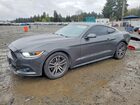 2017 Ford Mustang Gray vin: 1FA6P8TH0H5318968