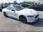 2021 Ford Mustang Ecoboost Fastback White vin: 1FA6P8TH2M5128065