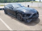 2019 Ford Mustang Ecoboost Premium Black vin: 1FA6P8TH3K5118092
