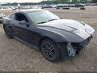 2021 Ford Mustang Ecoboost Fastback Black vin: 1FA6P8TH5M5134524