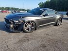 2017 Ford Mustang Gray vin: 1FA6P8TH6H5310311
