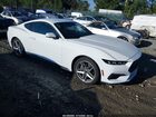 2024 Ford Mustang Ecoboost Fastback White vin: 1FA6P8TH6R5113446