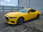 2024 Ford Mustang Yellow vin: 1FA6P8TH7R5116985