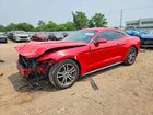 2017 Ford Mustang Red vin: 1FA6P8TH8H5306423