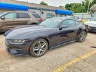 2024 Ford Mustang Gray vin: 1FA6P8TH8R5140762