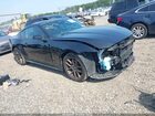 2024 Ford Mustang Ecoboost Premium Fastback Black vin: 1FA6P8THXR5137362